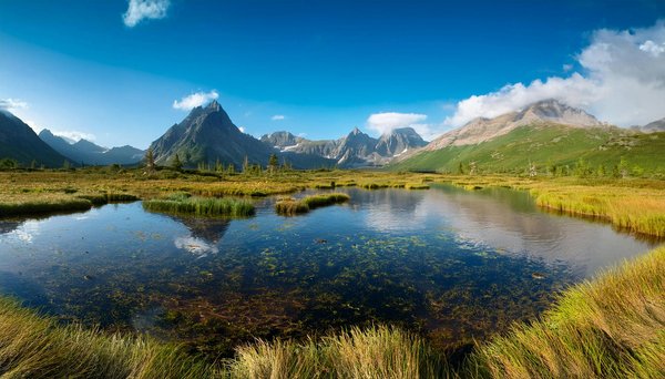 Les campings avec des ateliers de cuisine traditionnelle
