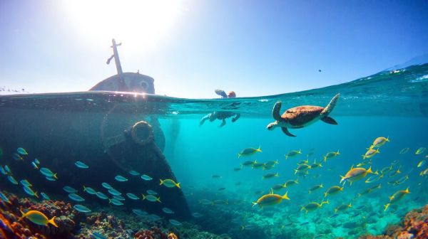 Top 5 épaves à explorer lors de votre plongée à Aruba