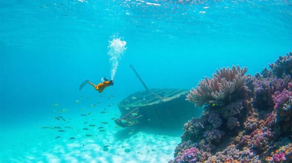 Top 5 épaves à explorer lors de votre plongée à Aruba